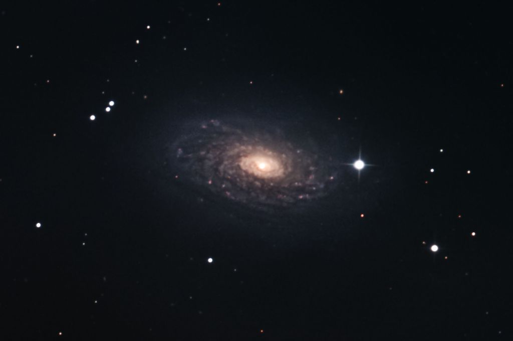 M63