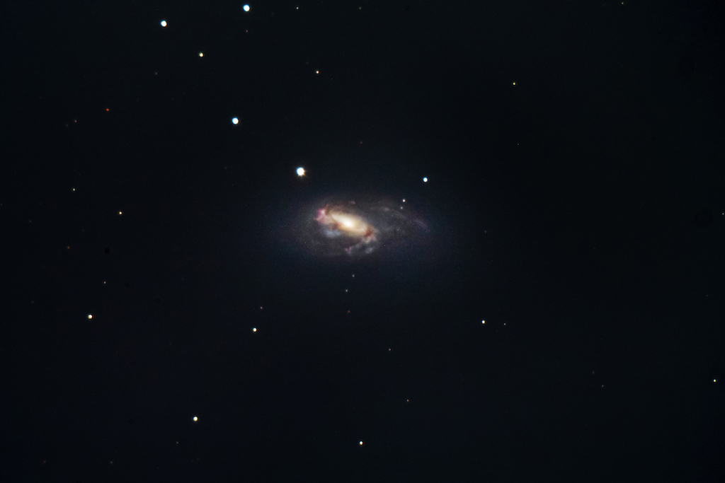 M66