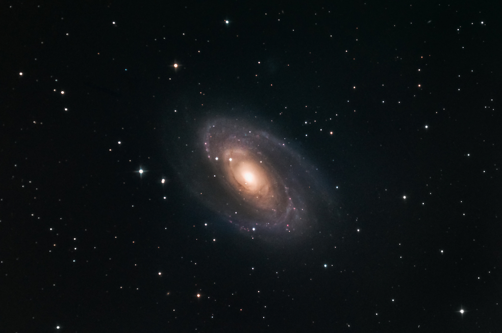 M81