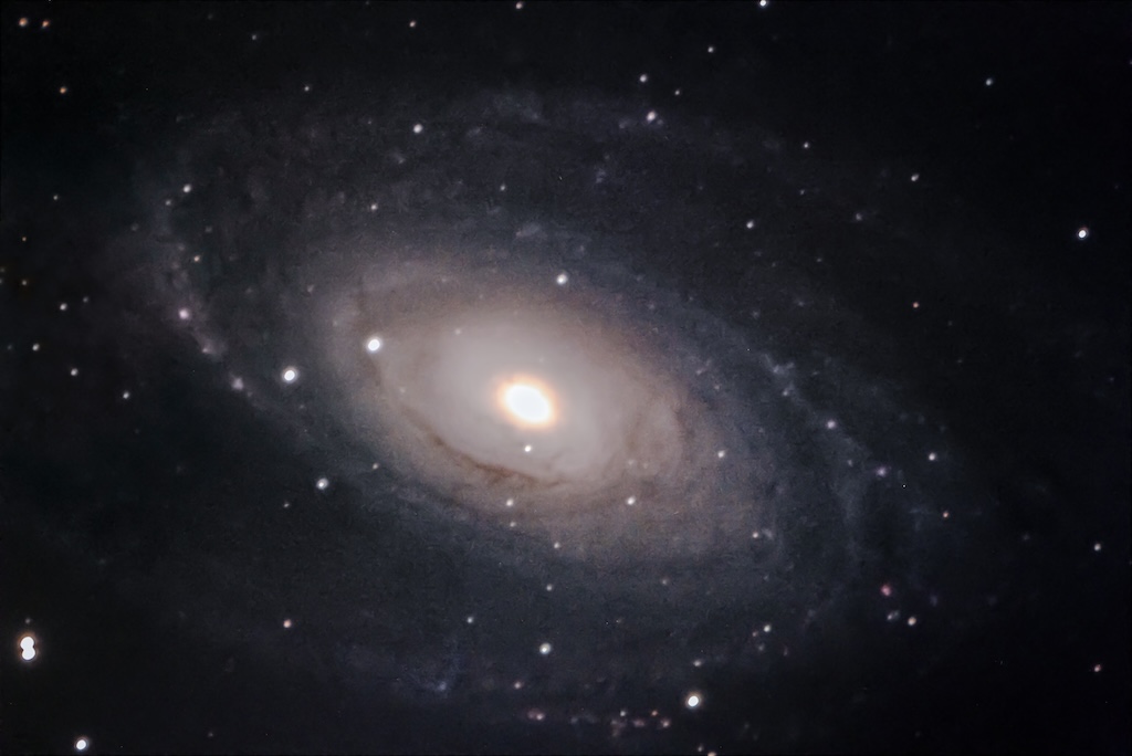 M81